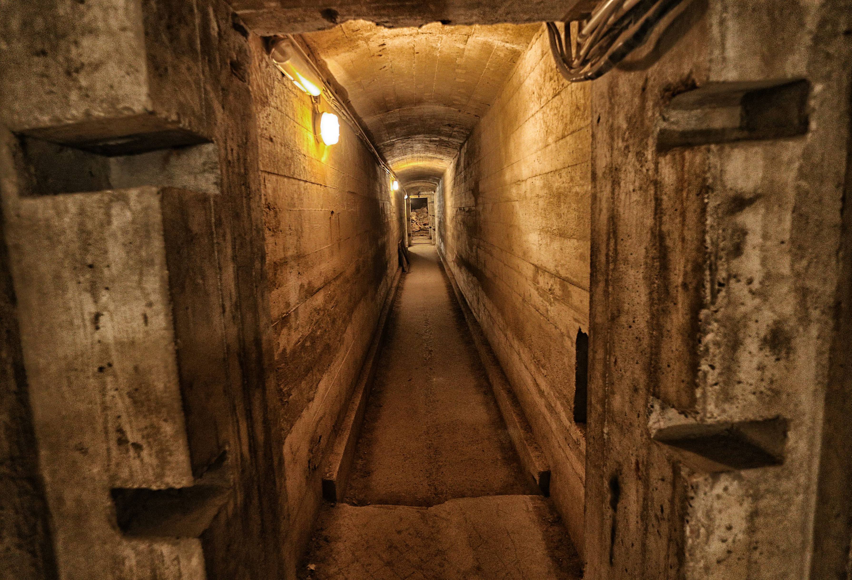 Bayern: Riesiger Goldschatz aus Museum gestohlen -  450 keltische Goldmünzen bei filmreifen Bruch geraubt!