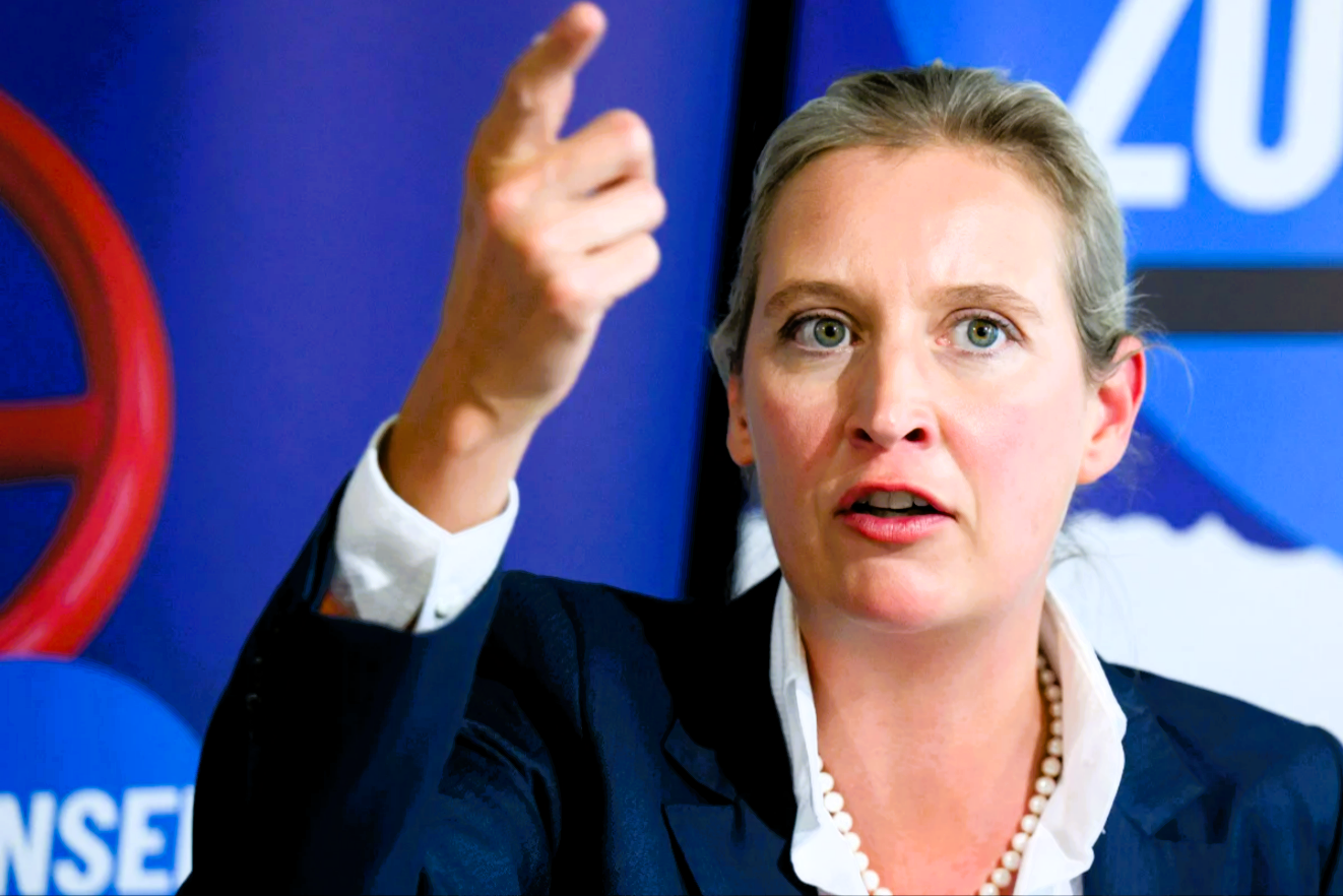 Umfrage-Debakel für die Ampel! Schlechteste Werte aller Zeiten! So sehen die Deutschen die Regierung