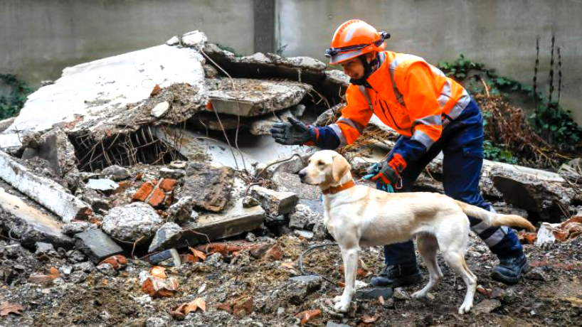 Eilmeldung! Schweres Erdbeben erschüttert Europa - Erdstöße waren in mehreren Ländern zu spüren