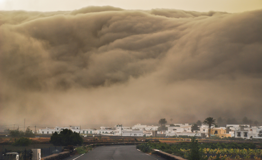 Massive Wave Sweeps Tourists into the Sea! Spanish Holiday Island Turns Nightmarish